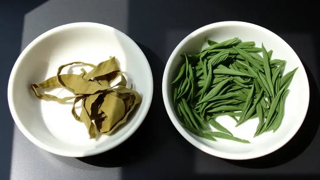 leaf color and texture